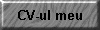CV-ul meu